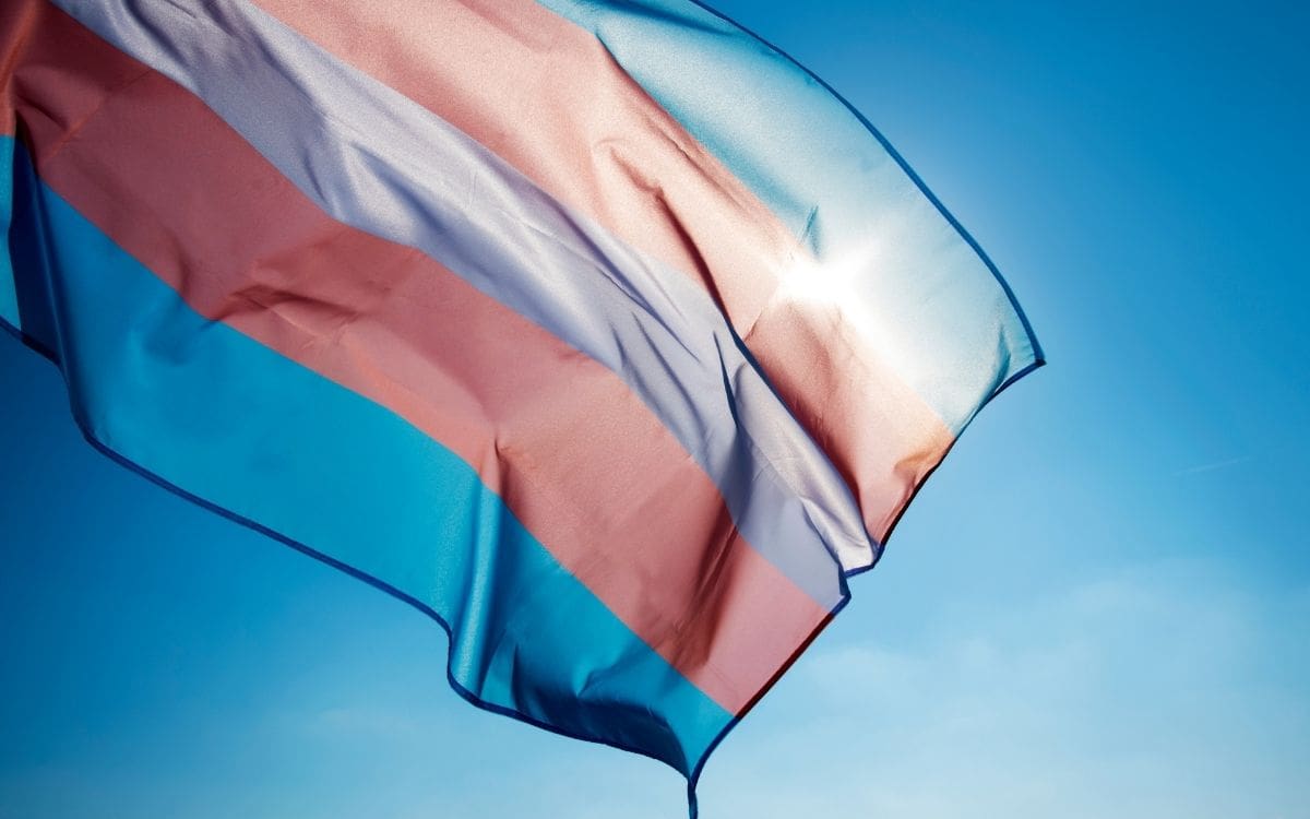 Trans Day of Visibility