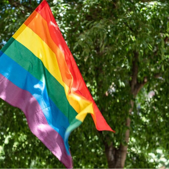 Rainbow pride flag with trees in the background